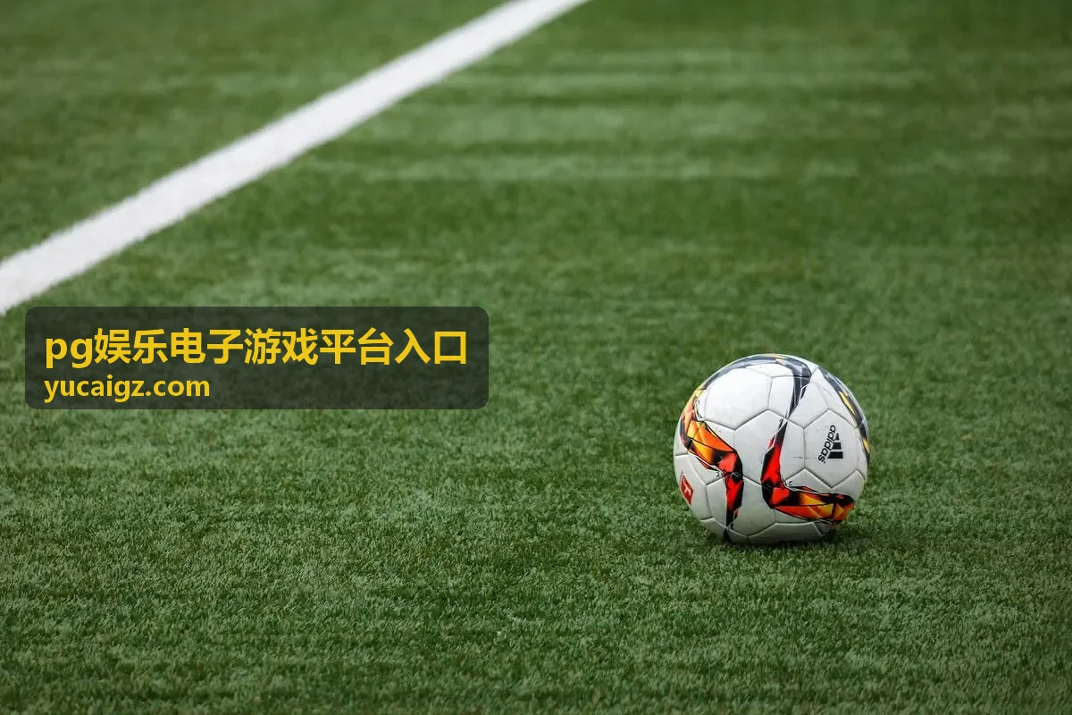 pg娱乐电子游戏平台入口玩法规则说明示意